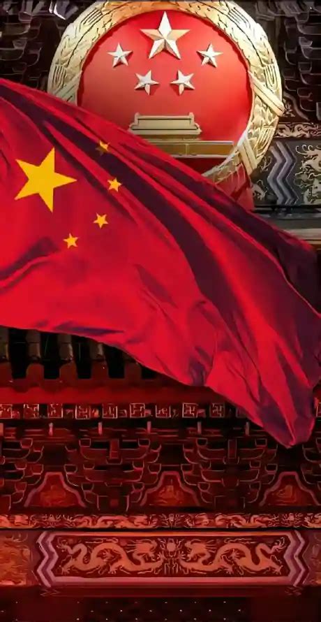 西•卡米列里 的图像结果