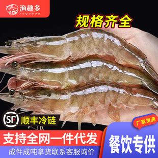 海水大虾鲜活海鲜超大青岛海虾冷冻白虾冻虾商用整箱批发基围虾-阿里巴巴