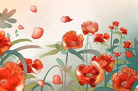 手绘虞美人图片