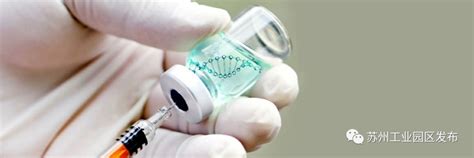 达晨Family | 国内首个新冠 DNA疫苗获批临床