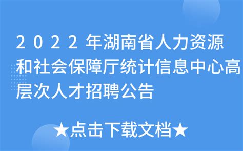 2022年湖南省人力资源和社会保障厅统计信息中心高层次人才招聘公告