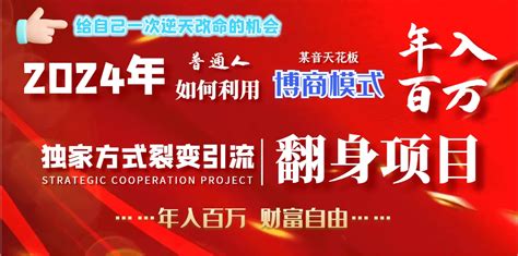 2024年普通人如何利用博商模式做翻身项目年入百万，财富自由 - 副业多