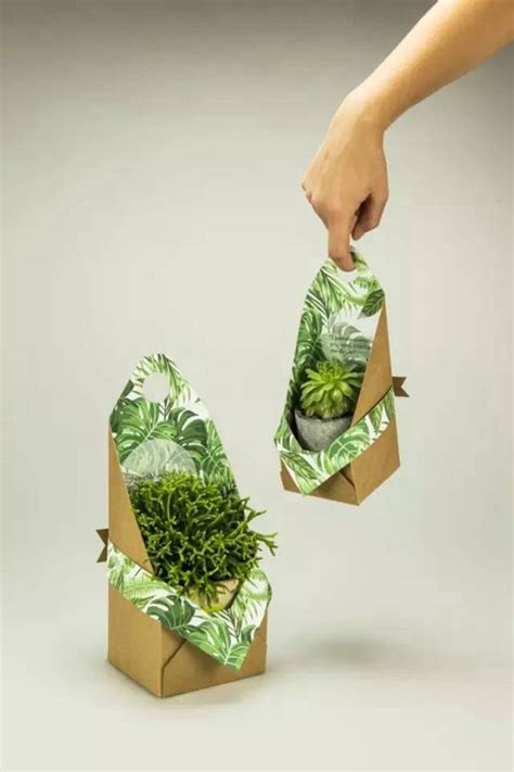干货分享：绿色包装设计经典案例赏析 | 淡远品牌设计