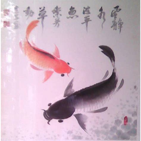 国画入门：“神仙鱼”的画法-鱼类画法解析_艺术品技法_【兴艺堂】