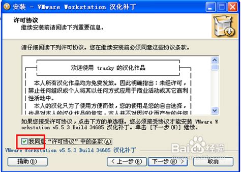 VMware 9汉化包下载_VMware 9虚拟机如何汉化？--系统之家