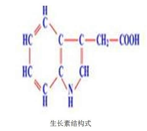 9061-61-4 神经生长因子 cas号9061-61-4分子式、结构式、MSDS、熔点、沸点