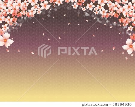 Background material of cherry blossom and gold... - Stock Illustration ...