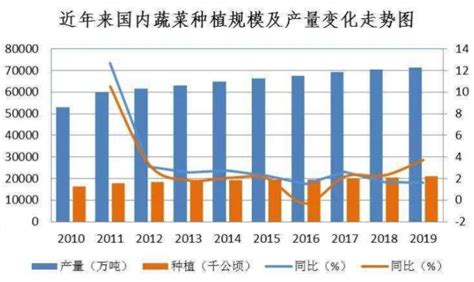 2019年中国蔬菜行业分析报告-市场行情监测与发展规划趋势_观研报告网