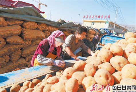 定西：马铃薯产业高质量发展_凤凰网视频_凤凰网