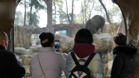 2018南京红山森林动物园_旅游攻略_门票_地址_游记点评,南京旅游景点推荐 - 去哪儿攻略社区