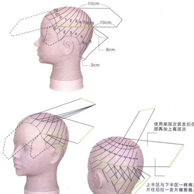 发型技术结构解码（一）——头部分区|分区|发型|发型师_新浪新闻