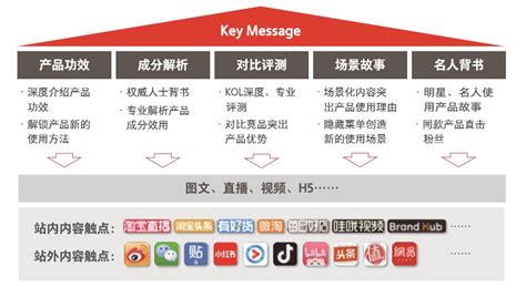 天猫淘宝网店运营推广营销策划书PPT模板_红动网