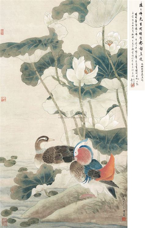 荷花鸳鸯图图片