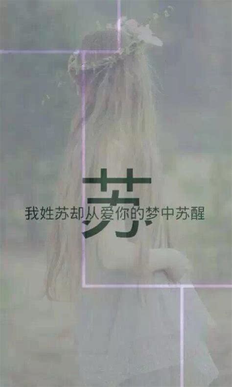 苏姓头像非主流