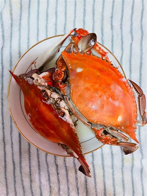 【清蒸螃蟹的做法步骤图，清蒸螃蟹怎么做好吃】twop_下厨房