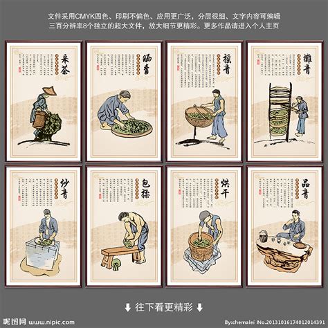 人民网：浙江：大学生学采茶体验茶文化-浙江农林大学