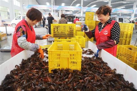 农村产业融合发展案例：湖北潜江小龙虾成横跨农业、工业和服务业的“三栖明星” - 重庆日报