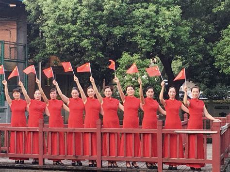 北京云雀农大附小旗队参加第20届学生艺术节旗舞比赛
