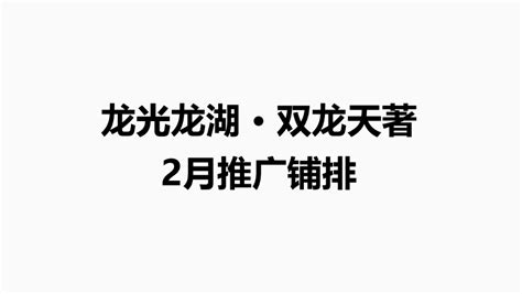 2022龙光龙湖 · 双龙天著2月推广铺排方案-20P_精英策划圈-站酷ZCOOL