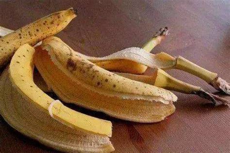 香蕉的功效与作用 香蕉有什么好处_查查吧