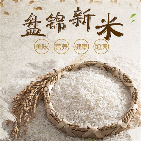 提升大米品牌建设 助推稻米产业发展