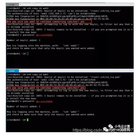 linux操作系统与系统安全—智慧树网