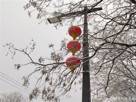 北京雪打灯笼