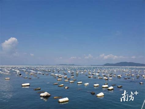 饶平有人非法售卖身份证，扫地扫出的“大生意”，详情。。。-搜狐大视野-搜狐新闻