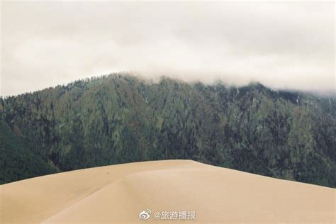春节西藏拉萨旅游海报布达拉宫林芝桃花节川藏线旅游_二月初-站酷ZCOOL