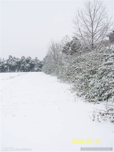 瑞雪兆丰年：下雪对生态的好处__凤凰网