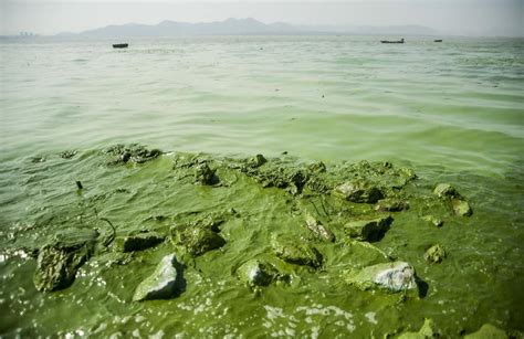 死海不是世界上最咸的湖 前两名完全没听过--中国数字科技馆