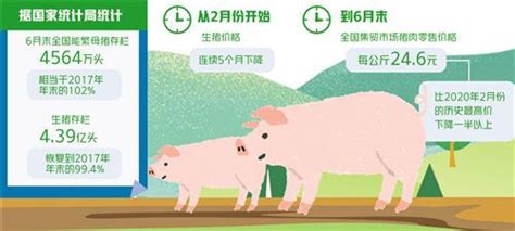 节本增效应对猪价起落-大河网