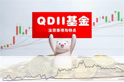QDII基金是什么意思？QDII基金对于投资者有什么价值？QDII基金的特点是什么？ QDII基金是什么意思？QDII的英文全称是 ...