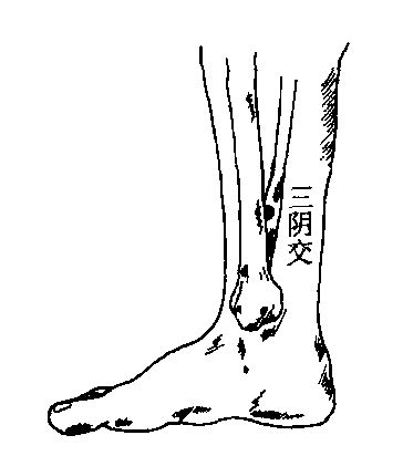 三阴交-中医学-医学