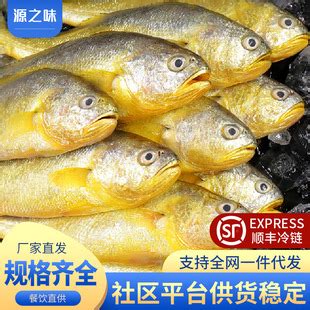 海名威 冷冻黄花鱼600g/条 大黄鱼 深海鱼 生鲜鱼类 海鲜水产-商品详情-菜管家