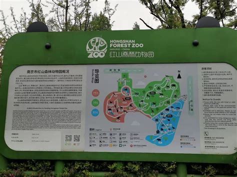 红山动物园认养多少钱 南京红山动物园认养流程及游玩指南 - 旅游资讯 - 旅游攻略