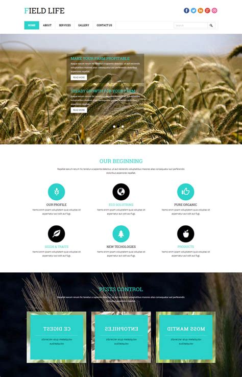 现代农业种植网站模板是一款适合小麦种植企业HTML5网站模板下载。_金屋文档