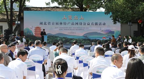 湖北省首届林特产品网络公益直播活动在罗田举办--湖北省林业局
