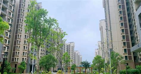 【供地计划】广州花都今年首批次拟推5宗涉宅地，分布在哪里？_好地网