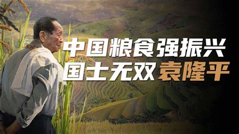 用全球7%的耕地养活了20%的人口——中国粮食的崛起之路