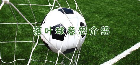 蝴蝶球是什么意思_足球比赛蝴蝶球意思介绍-最初体育网