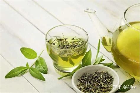 绿茶的功效与作用（经常喝绿茶有什么好处）-常识百科