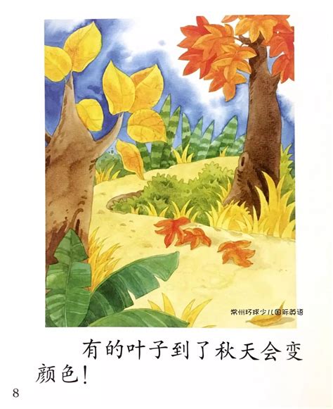 幼儿科学启蒙童话绘本：种子长大了_PDF电子书