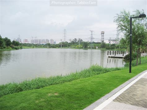 东莞市大朗荔香湿地公园，大朗镇最大的公园