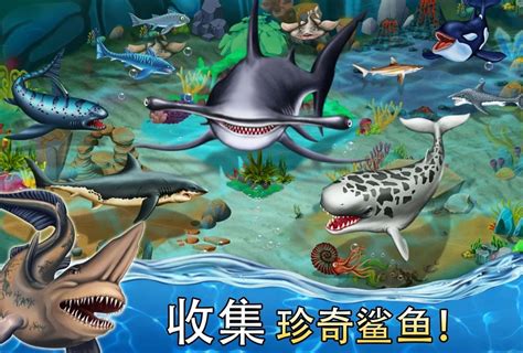 鲨鱼世界游戏下载_鲨鱼世界游戏安卓版下载_比比手游网