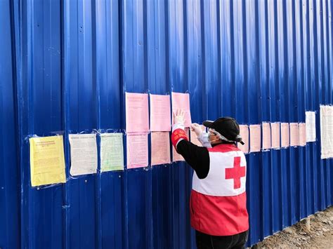 中国红十字会向汤加提供人道主义援助