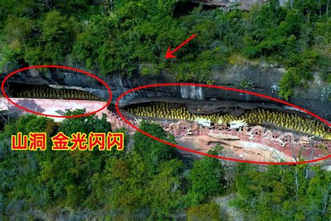 巴西工地挖出10米长巨蛇 体重达800斤! - 中国网山东图片新闻 - 中国网 • 山东