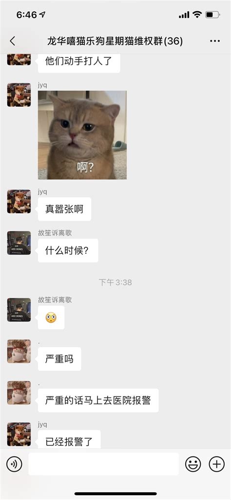 买到星期猫如何维权 - 家在深圳
