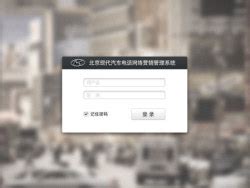 北京现代客户管理系统_fantasy85267432-站酷ZCOOL