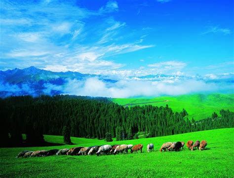 第2名 包容之美:伊犁草原 | 中国国家地理网